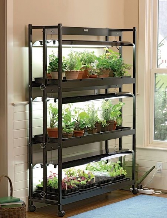3 Tier Sunlite Garden 3-Tier Sunlite® Garden Shelves + Fluorescent T-5 Bulbs Image 103