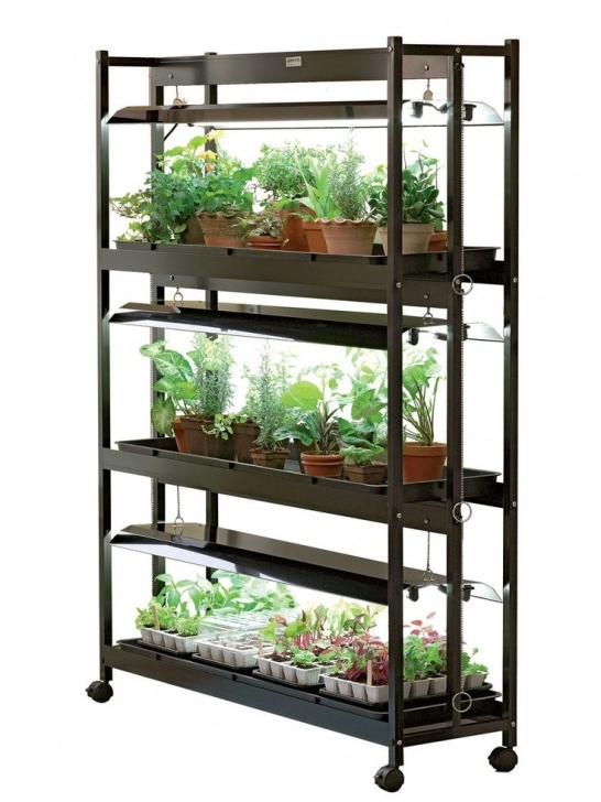 3 Tier Sunlite Garden 3-Tier Sunlite® Garden Shelves + Fluorescent T-5 Bulbs Photo 986