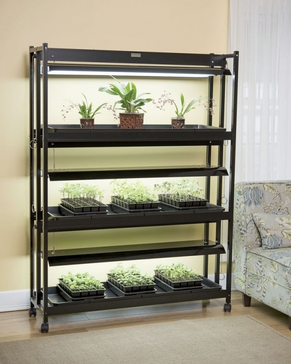 3 Tier Sunlite Garden High Intensity Grow Lights: 3-Tier Sunlite® Garden Image 742