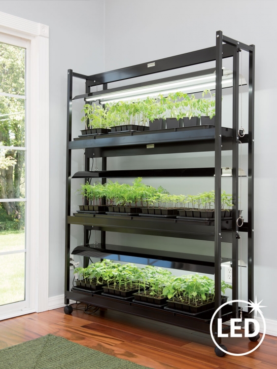3 Tier Sunlite Garden Led Sunlite® 3-Tier Garden (With Images) | Grow Light Photo 517