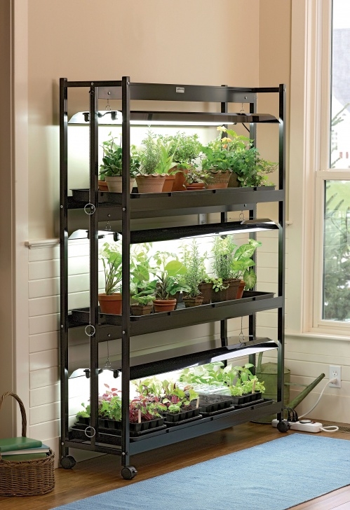 3 Tier Sunlite Garden Stack-N-Grow Light System - Exclusively From Gardener'S Supply Photo 184