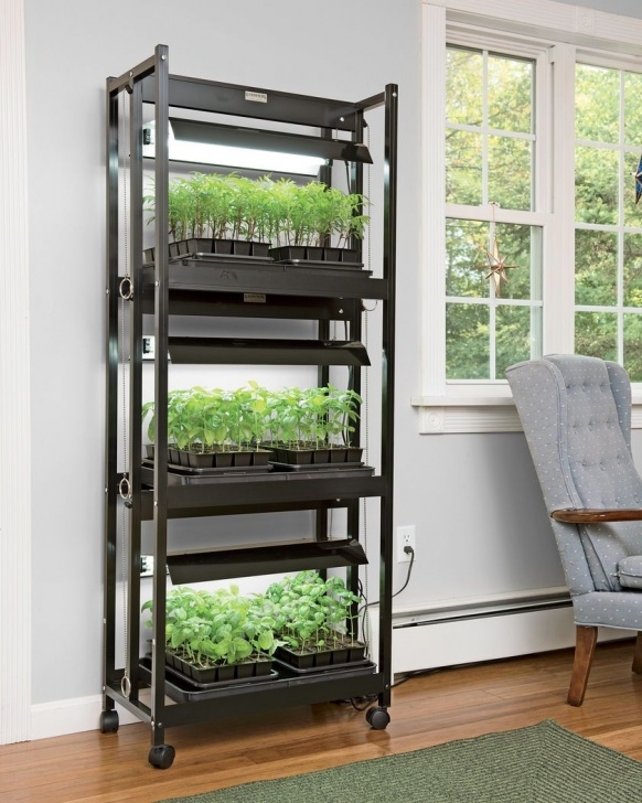 3 Tier Sunlite Garden Sunlite Compact 3-Tier Led Grow Light | Gardener'S Supply Image 830