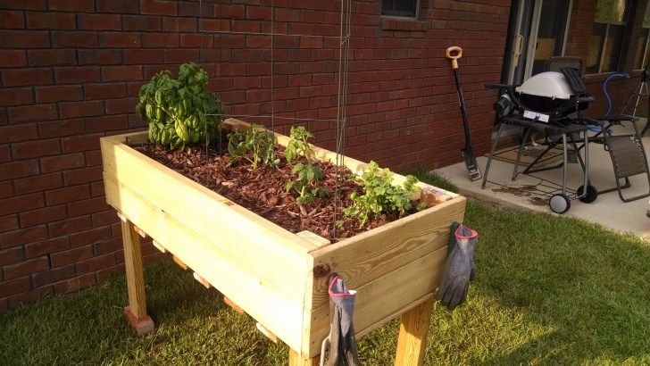 4 Foot High Raised Garden Bed Counter Height Garden Boxes 2 Feet X 4 Feet | Do It Picture 355