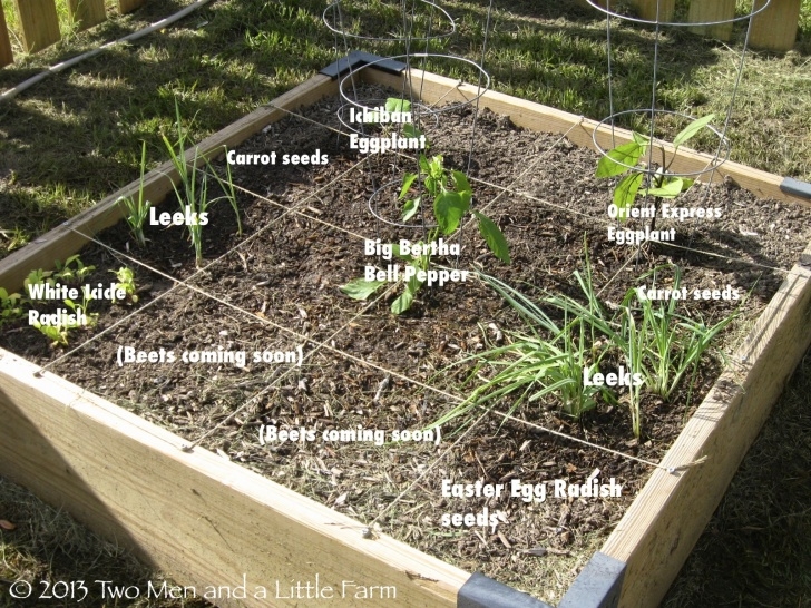 4 Foot High Raised Garden Bed Two Men And A Little Farm: Raised Beds Let The Gardening Begin Image 592