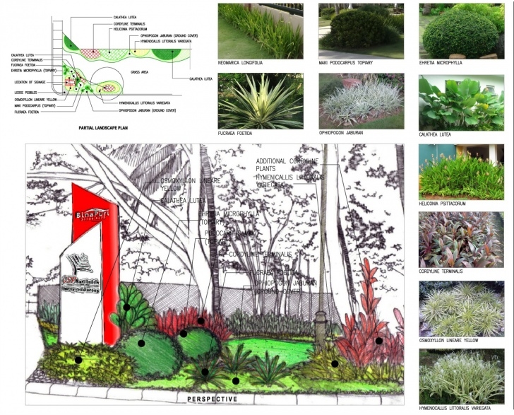 A1 Gardening And Landscaping Landscape Plan- Puni Signage_1 A1 (2) - Land8 Photo 871