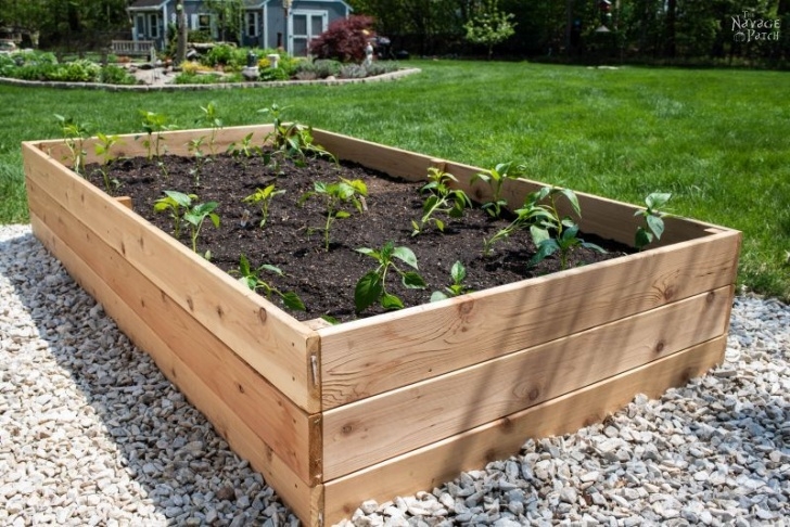 Above Ground Vegetable Garden Diy Raised Garden Beds Tutorial - The Navage Patch Image 686