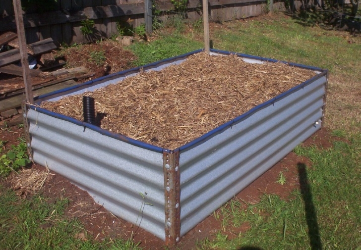 Above Ground Vegetable Garden Forum: Diy Colorbond Raised Garden Bed Image 205
