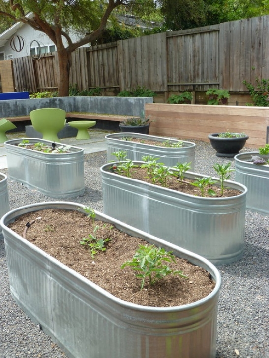 Above Ground Vegetable Garden Garden And Outdoor Design Ideas, Renovations &amp; Photos With Image 135