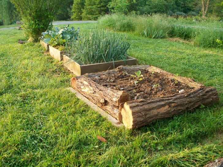Above Ground Vegetable Garden Vegans Living Off The Land: Raised Bed Garden Ideas Picture 800