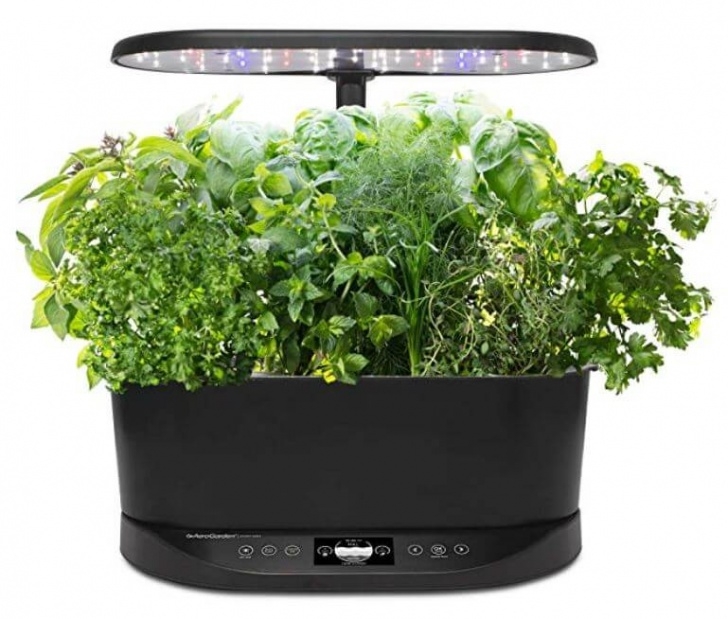 Aerogarden Change Water Holiday Gifts For Conscious, Mindful, And Spiritual People Photo 097