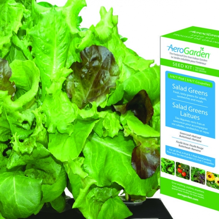 Aerogarden Customer Service Aerogarden Aero502 - Salad Greens Kit Image 794