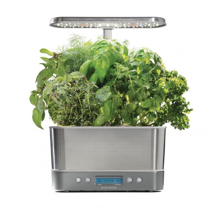 Aerogarden Customer Service Aerogarden Harvest Elite, Stainless Steel With Seed Image 578