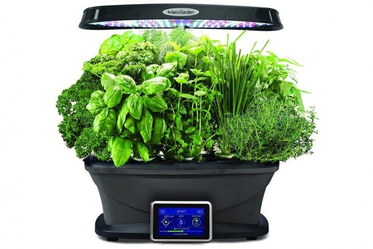 Aerogarden Green Algae Pin On Indoor Gardening Image 132