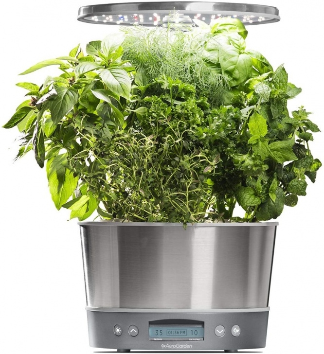 Aerogarden Harvest Elite 360 50 Quick And Easy Herb Garden Ideas | Storables Image 405