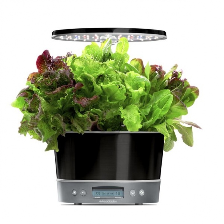 Aerogarden Harvest Elite 360 Aerogarden Harvest Elite 360 Hydroponic Unit &amp; Reviews Image 879