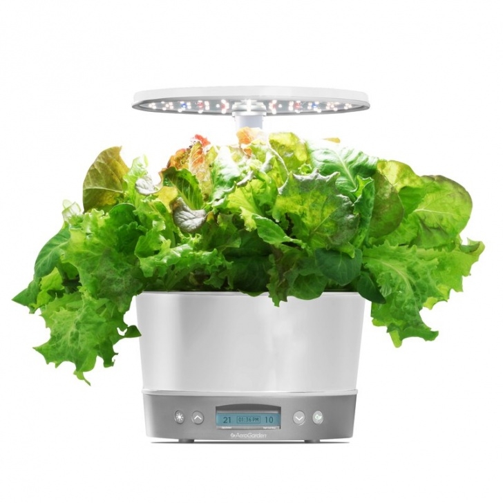 Aerogarden Harvest Elite 360 Aerogarden Harvest Elite 360 Hydroponic Unit | Wayfair Picture 495