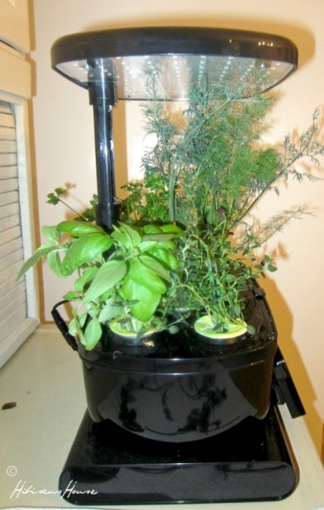 Aerogarden Harvest Reset Miraclegro Aerogarden Image 230