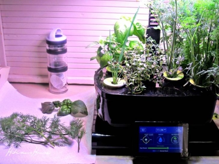 Aerogarden Harvest Reset Miraclegro Aerogarden Photo 394