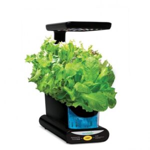 Aerogarden Harvest Reset Nutrient Timer Aerogarden Sprout Led With Gourmet Herb Seed Pod Kit Review Picture 517