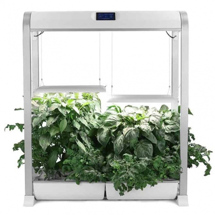 Aerogarden In Home Garden System 6 Best Hydroponic Systems For Growing Vegetables Indoors Image 726