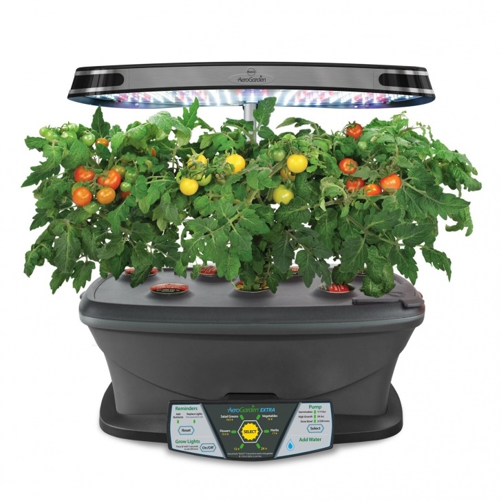 Aerogarden In Home Garden System Aerogarden Review-Easy Hydroponics - Diy Organic Gardening Image 714