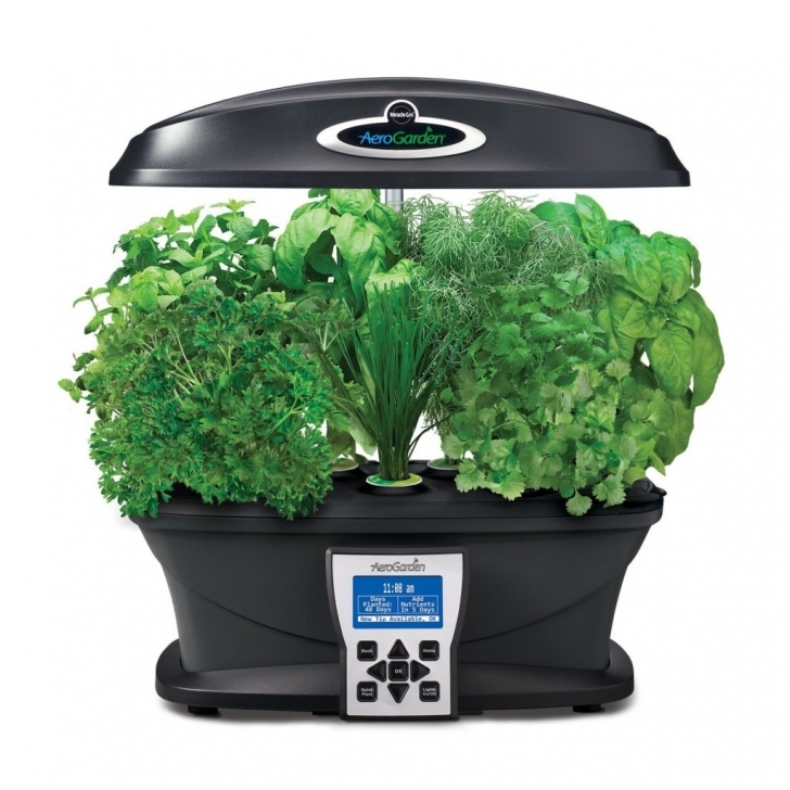 Aerogarden In Home Garden System The Miracle Gro Aerogarden Systems - Mytop10Bestsellers Image 551