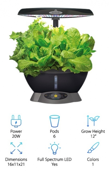 Aerogarden Light Timer 10 Indoor Hydroponic Herb Gardens 2020 [Buying Guide Picture 014