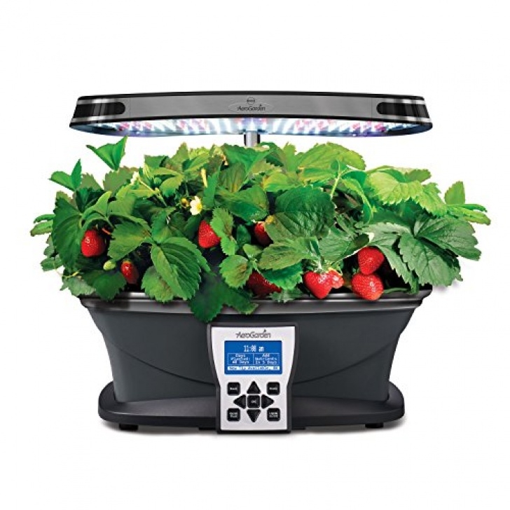 Aerogarden Light Timer Aerogarden 903100-1200 Black Ultra Led, 1 Kit, With More Photo 675