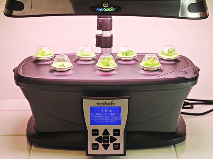 Aerogarden Light Timer Getting Started With Aerogarden Indoor Gardening - Home Image 120