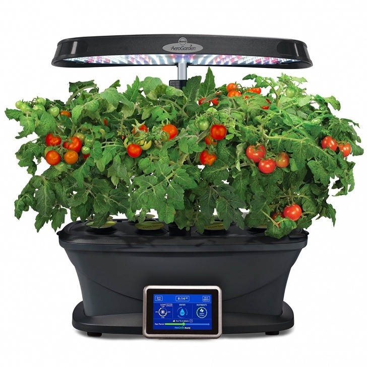 Aerogarden Light Timer Miracle-Gro Aerogarden Reviews [Compare The Best Models Image 595