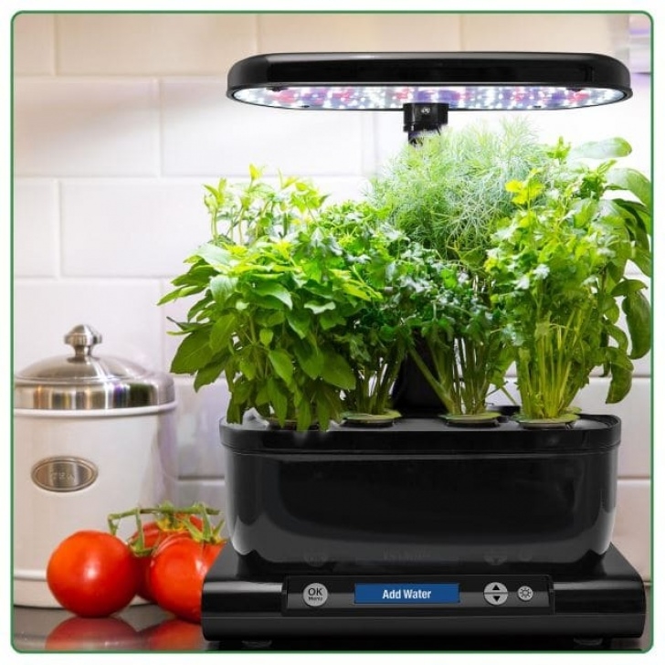 Aerogarden Reset Nutrient Timer Aerogarden Harvest Review 2019 Image 647