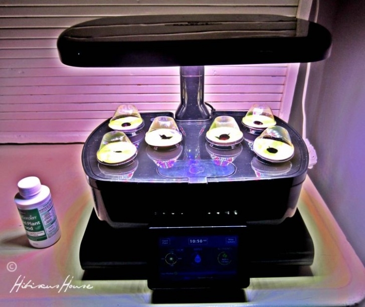 Aerogarden Reset Nutrient Timer Miraclegro Aerogarden Photo 094