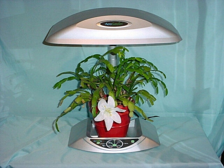 Aerogarden Space Saver 6 Aerogarden Model 100602 Space Saver 6 Hydroponic Indoor Image 113