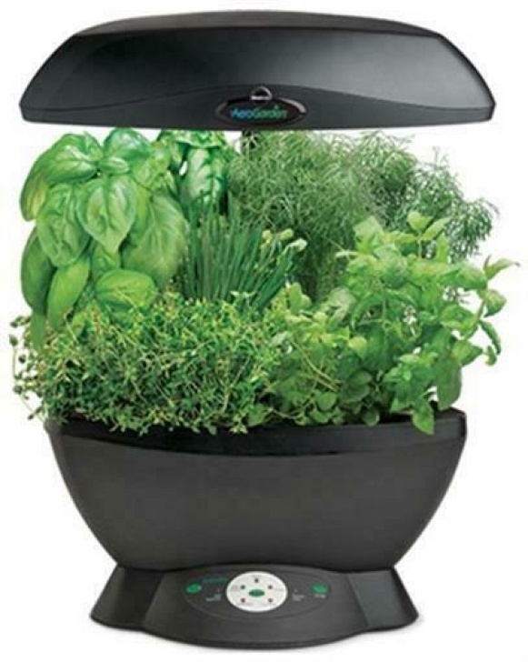 Aerogarden Space Saver 6 Aerogarden Space Saver 6 Indoor Garden System 100602-Blk Picture 333