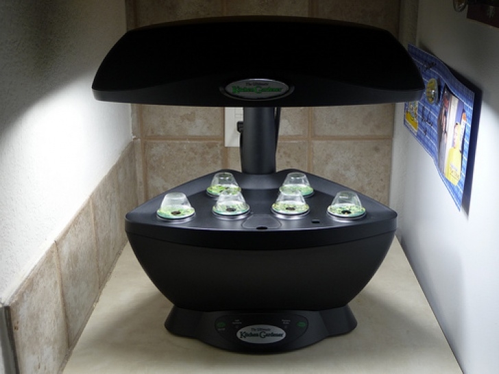 Aerogarden Space Saver 6 Small Aerogarden Models: Aerogarden 6 Space Saver Picture 021