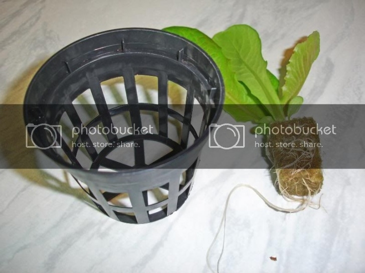 Aerogarden Water Capacity Diy Aeroponic System | Page 2 | Aerogardenmastery Picture 552