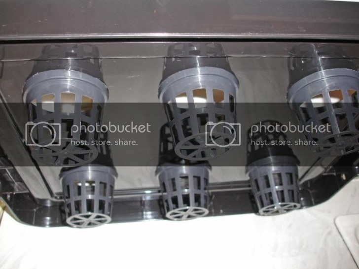 Aerogarden Water Capacity Diy Aeroponic System | Page 2 | Aerogardenmastery Picture 730