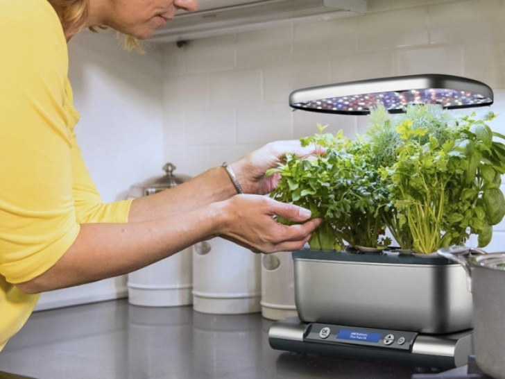 Aerogarden Water Sensor A Kindle Paperwhite | Business Insider India Image 626