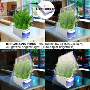 Aerogarden Water Sensor Chee Mong Herb Garden Kit Review Picture 035