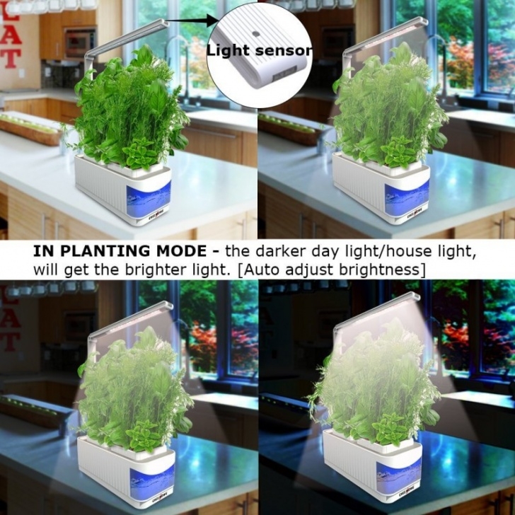 Aerogarden Water Sensor Chee Mong Herb Garden Kit Review Picture 035