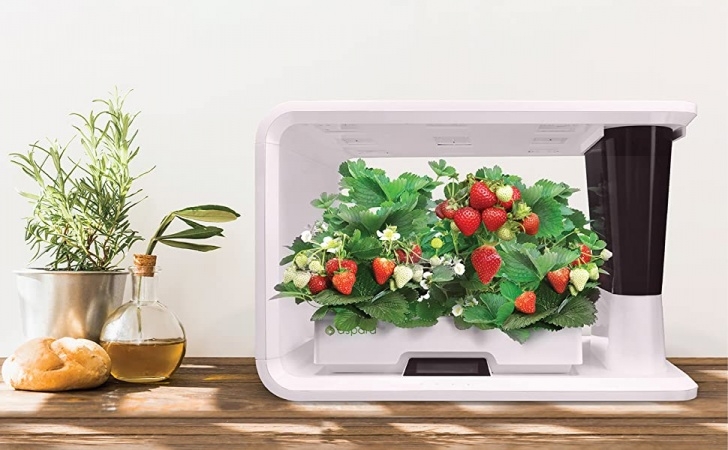 Aerogarden Water Sensor Smart Iot Hydroponics Grower/Growing System – 7 Gadgets Photo 507