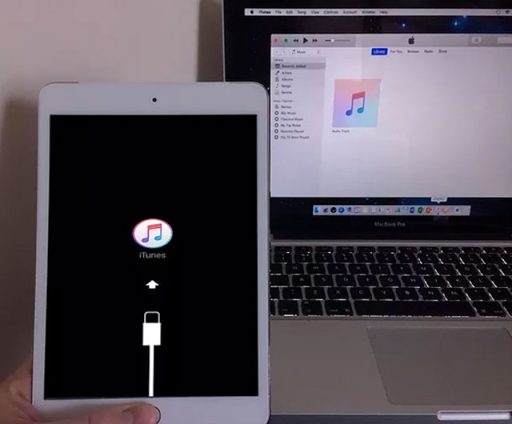 Aerogarden Wont Turn On 8 Things You Can Do When Your Iphone/Ipad Won’t Turn On Image 119