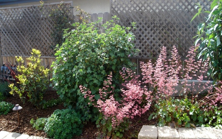 All Seasons Gardening And Landscaping All Seasons Landscape Image 786