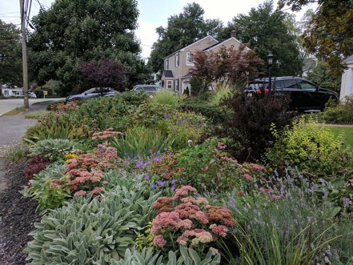 All Seasons Gardening And Landscaping Vibrant Colored Blooms For All Seasons | Landscape Design Picture 707