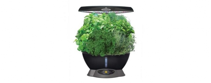 Amazon Indoor Herb Garden 6 Best Indoor Herb Garden Kits In 2019 [Buying Guide Image 130