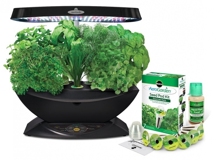 Amazon Indoor Herb Garden Aerogarden 7 Led Indoor Garden With Gourmet Herb Seed Kit Photo 552