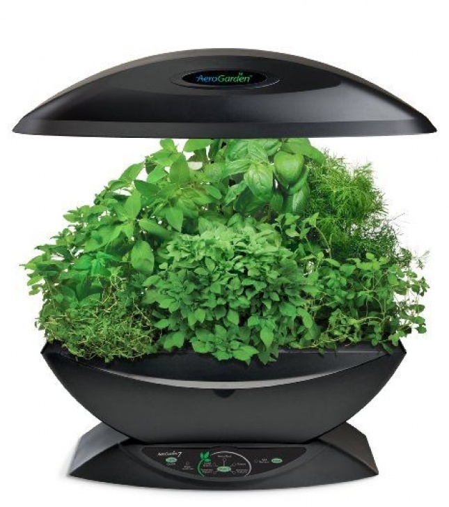 Amazon Indoor Herb Garden Amazon: Aerogarden 7-Pod Indoor Garden With Gourmet Photo 888