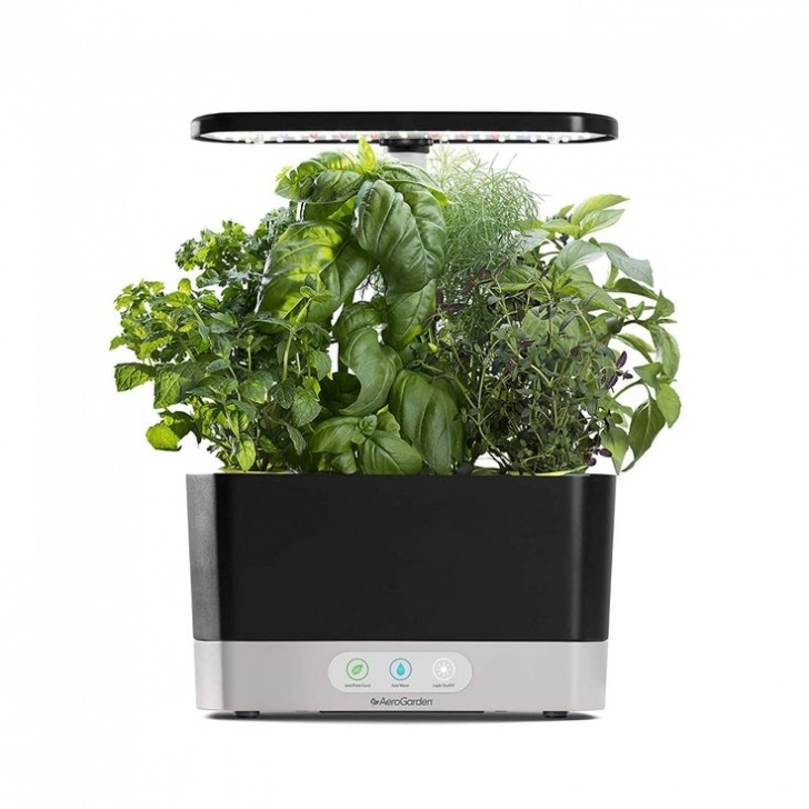 Amazon Indoor Herb Garden Amazon : Aerogarden Harvest - Black : Garden &amp; Outdoor Image 717