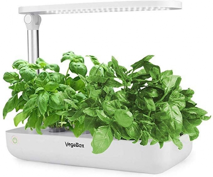 Amazon Indoor Herb Garden Amazon : Hydroponics Growing System, Support Indoor Photo 277