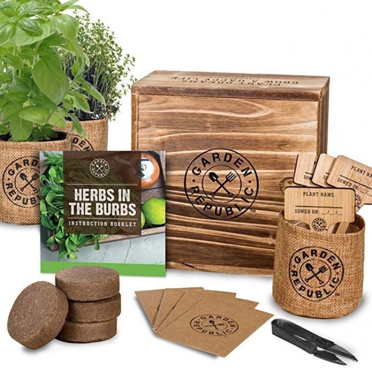 Amazon Indoor Herb Garden Amazon : Indoor Herb Garden Starter Kit - Organic, Non Photo 475